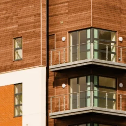 Sadolin Classic All Purpose Woodstain Antique Pine - 2.5L -Haris Home Shop 12845189 2124955541272712