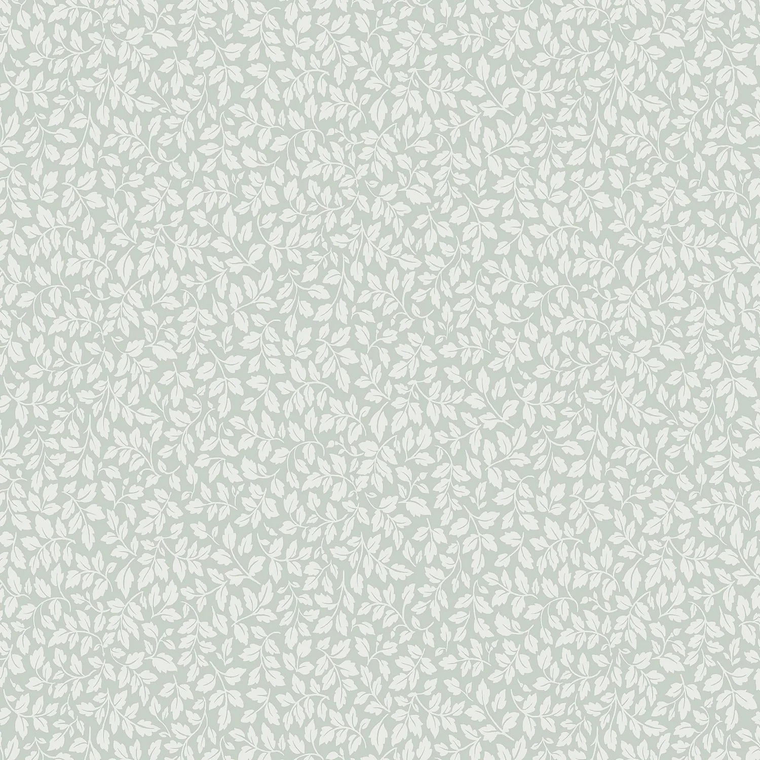 Superfresco Easy Lottie Sage Wallpaper 1 Superfresco Easy Lottie Sage Wallpaper