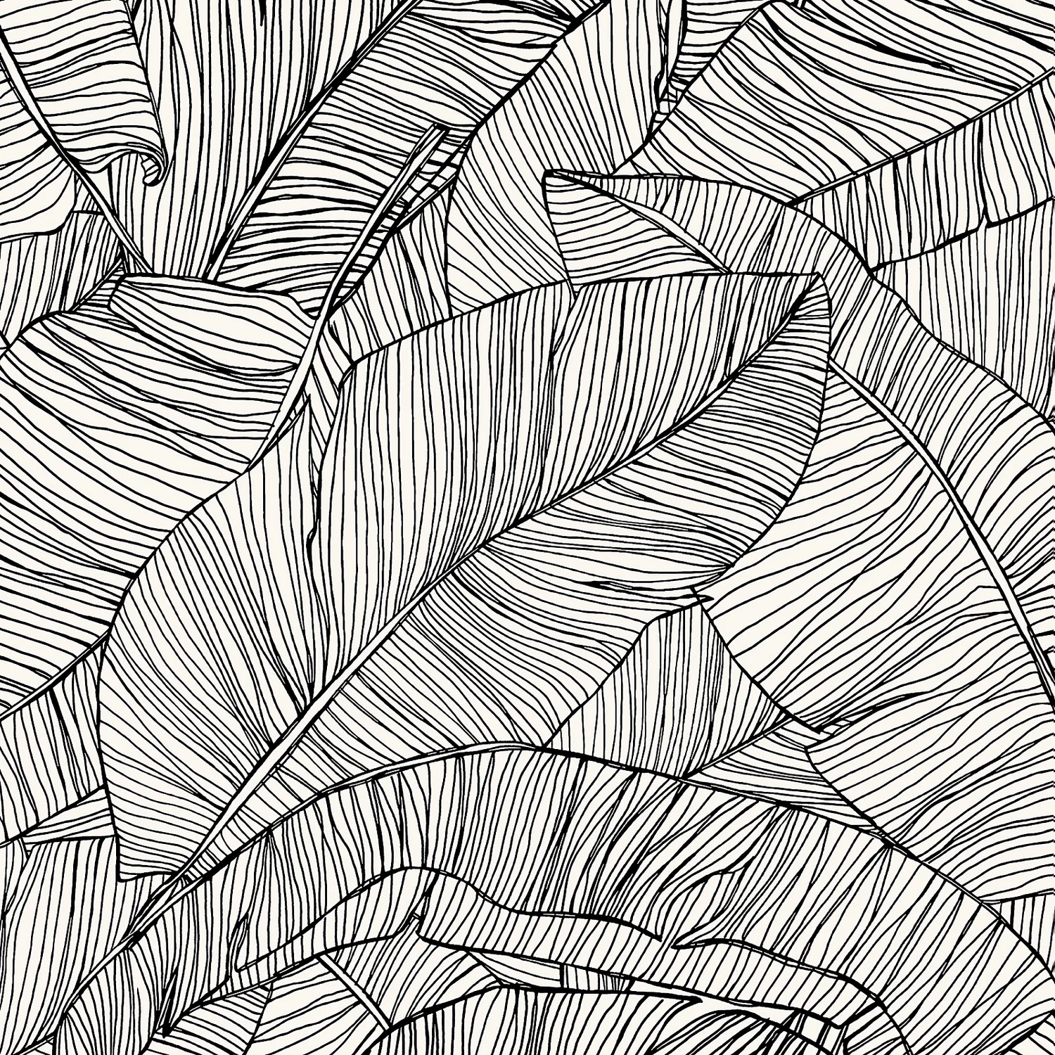 Superfresco Easy Kaya Mono Wallpaper 1 Superfresco Easy Kaya Mono Wallpaper