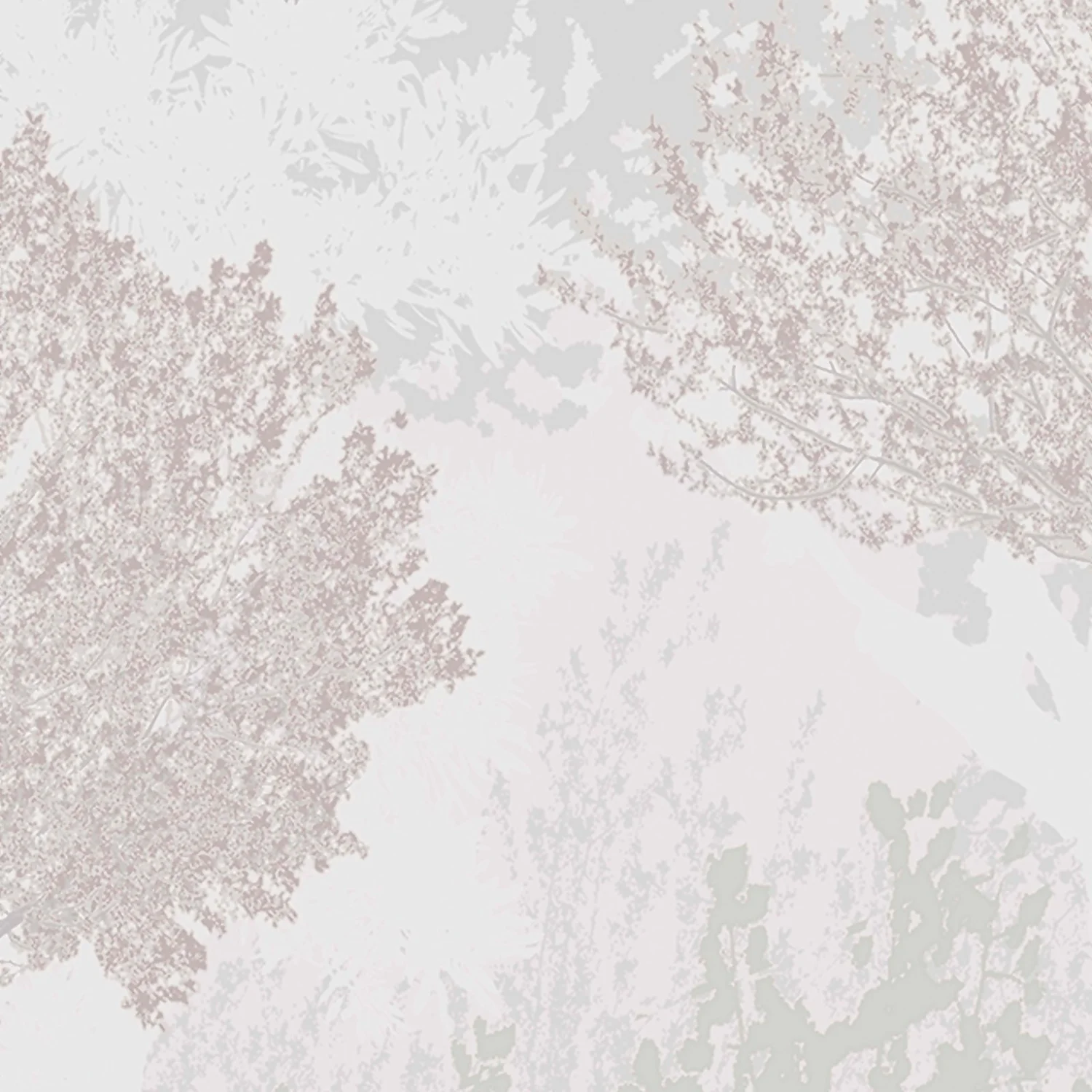 Superfresco Easy Birch Mauve Wallpaper 2 Superfresco Easy Birch Mauve Wallpaper - Image 2